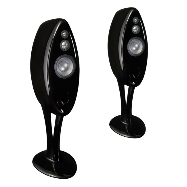 Vivid Audio Oval B1 Floorstanding Speakers