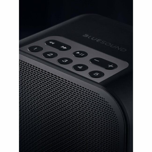 Bluesound PULSE FLEX 2i Portable Wireless Multi-Room Music Streaming Speaker Black Top Side