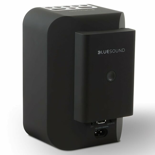 Bluesound Pulse FLEX Battery Pack for Pulse Flex. 6 hour life Black Rear